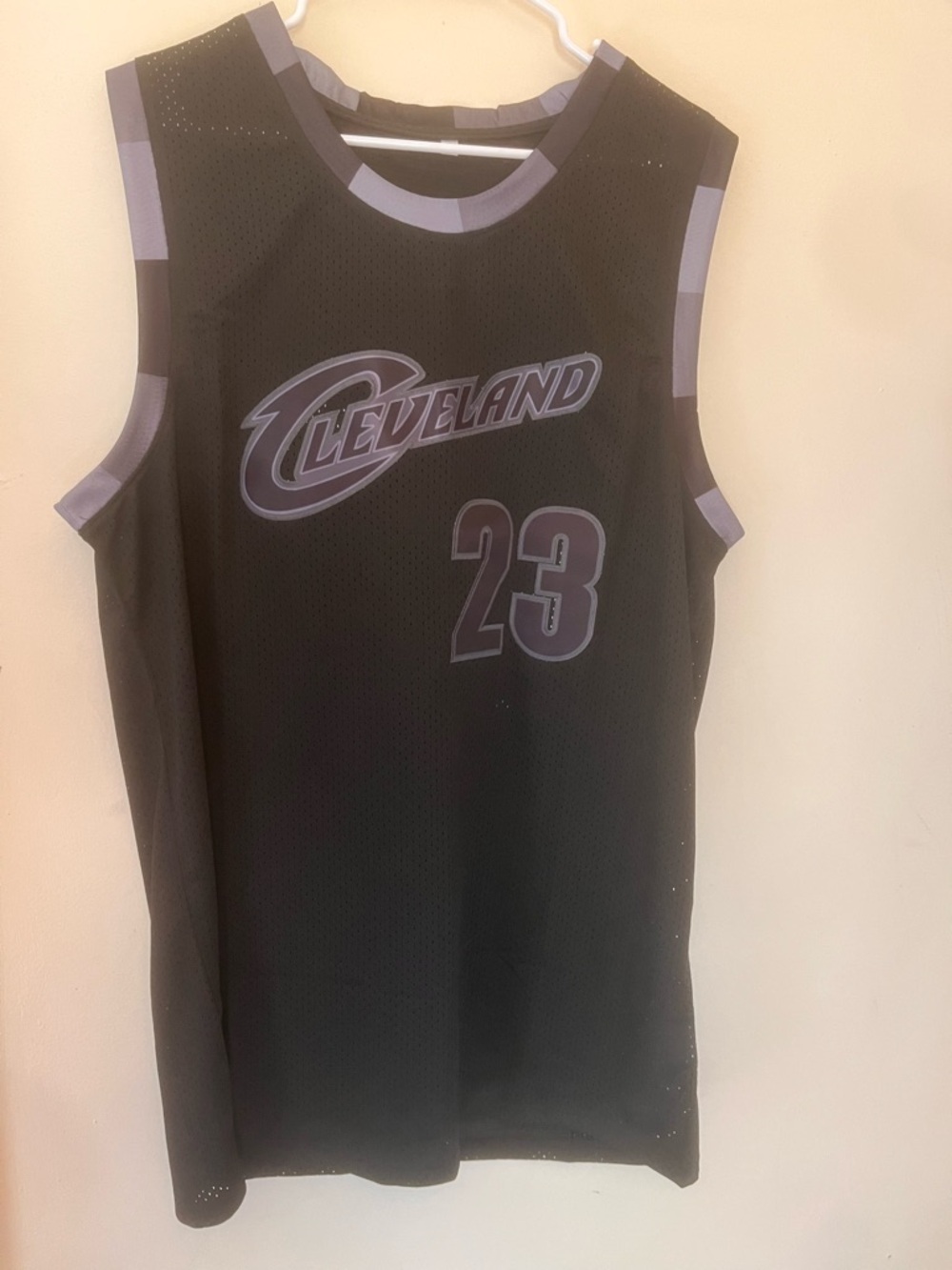 king james embroidered cleveland basketball jersey